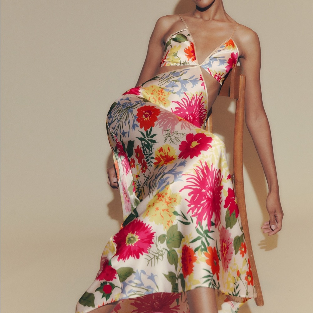 Reformation Silk Poppies Dress